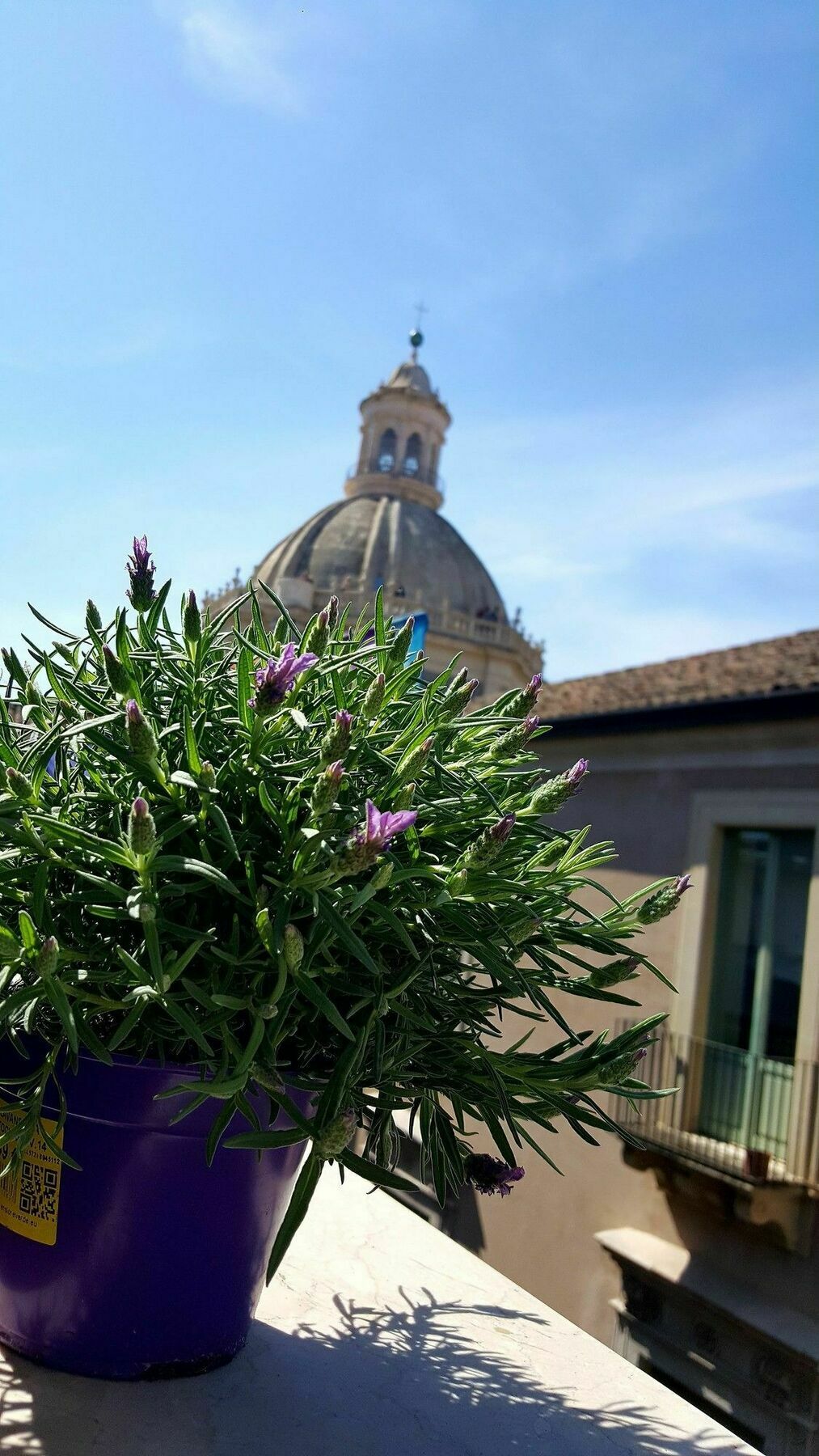Casa Provenza Hotel Catania Bagian luar foto